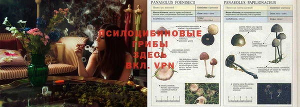 MDMA Горно-Алтайск