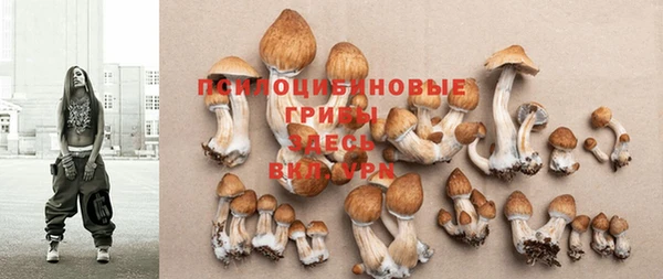 прущий лед Вязники